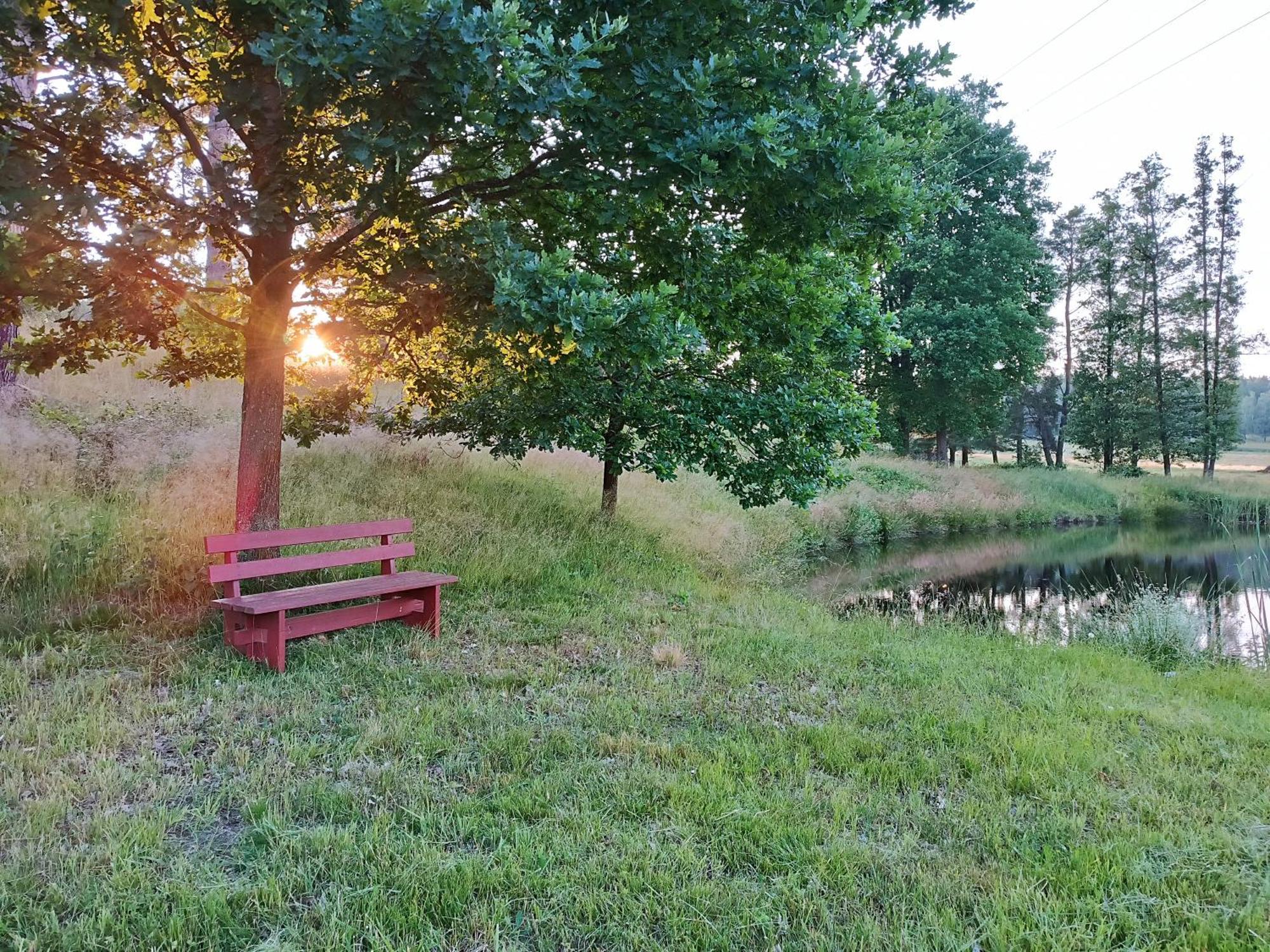 Villa Klidna Lokalita Na Kraji Lesa, Cely Dum S Uschovnu Kol à Nová Bystřice Extérieur photo