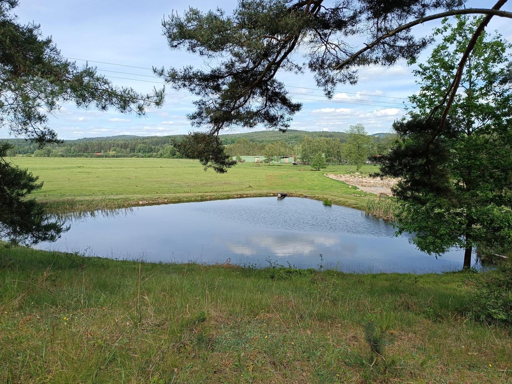 Villa Klidna Lokalita Na Kraji Lesa, Cely Dum S Uschovnu Kol à Nová Bystřice Extérieur photo