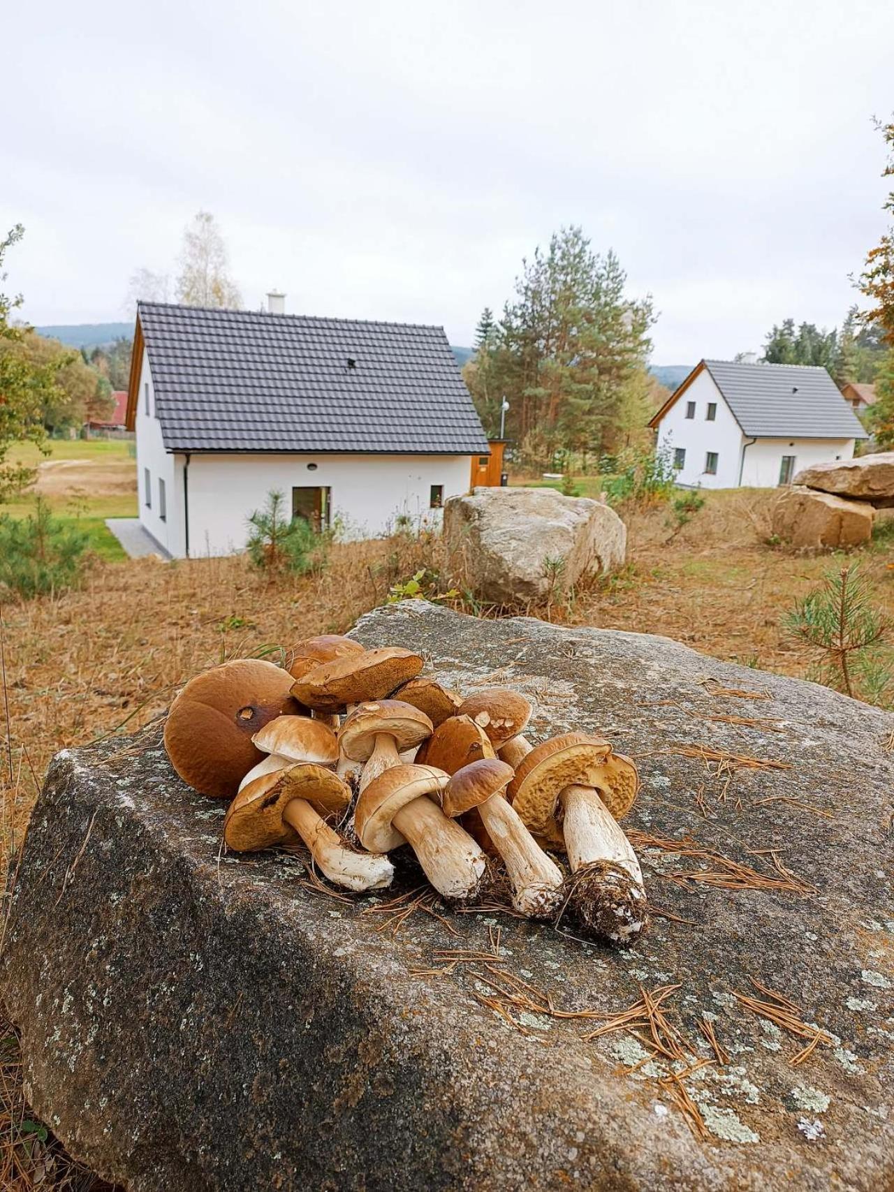 Villa Klidna Lokalita Na Kraji Lesa, Cely Dum S Uschovnu Kol à Nová Bystřice Extérieur photo